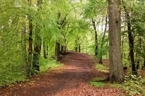 Sextreff Bergkamen