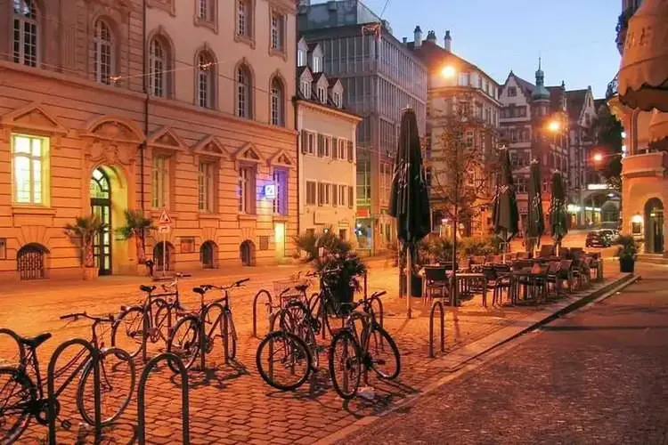 Single Freiburg