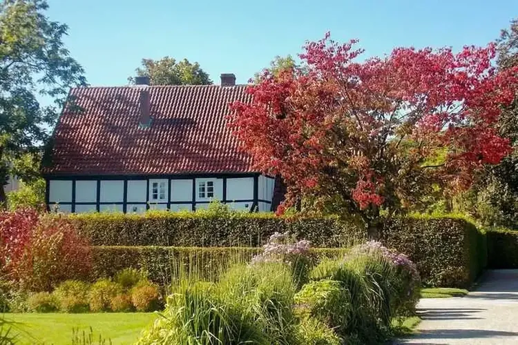 Single Gütersloh
