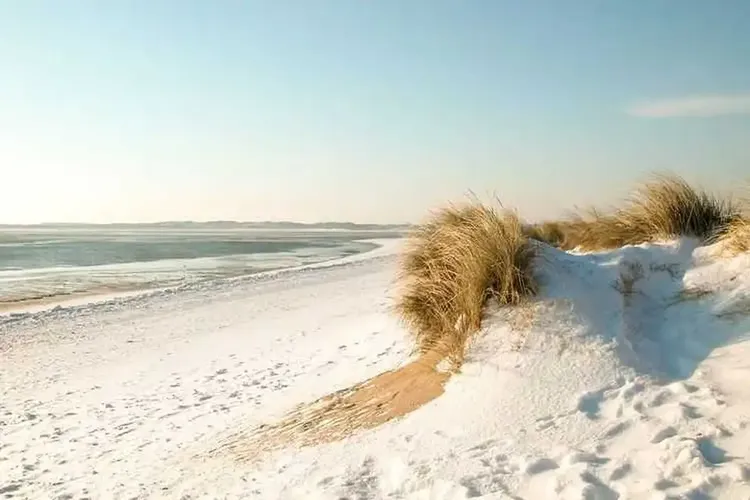 Sex Sylt